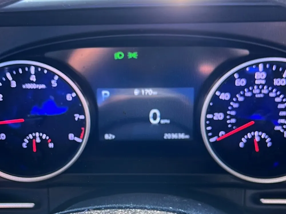 2022 Kia Carnival 10